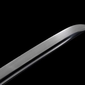 Alternative view of Wakizashi Koshi (1060 Carbon Steel)